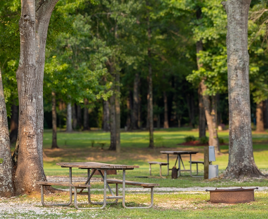 picnic tables