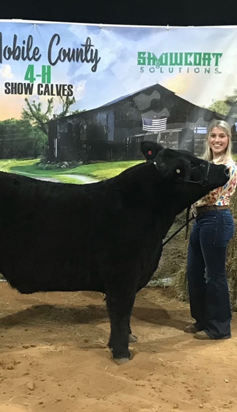 Cow